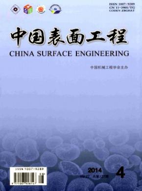 《中國(guó)表面工程》