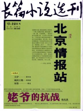 《長(zhǎng)篇小說(shuō)選刊》